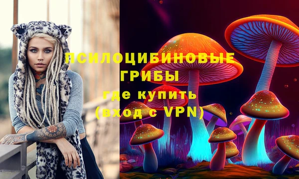 крисы Белоозёрский