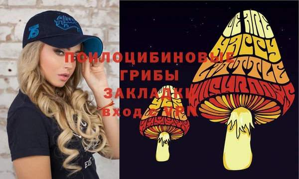 МДМА Беломорск