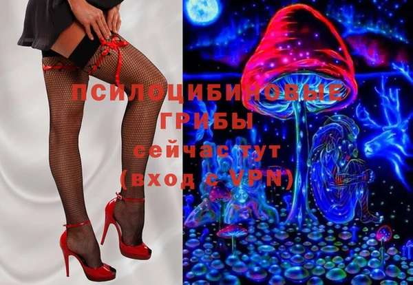 крисы Белоозёрский