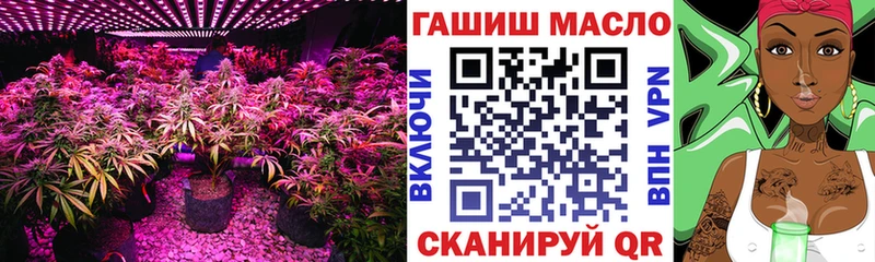 где можно купить наркотик  Торжок  Дистиллят ТГК гашишное масло 