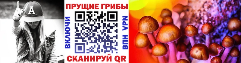 Галлюциногенные грибы мицелий  Торжок 